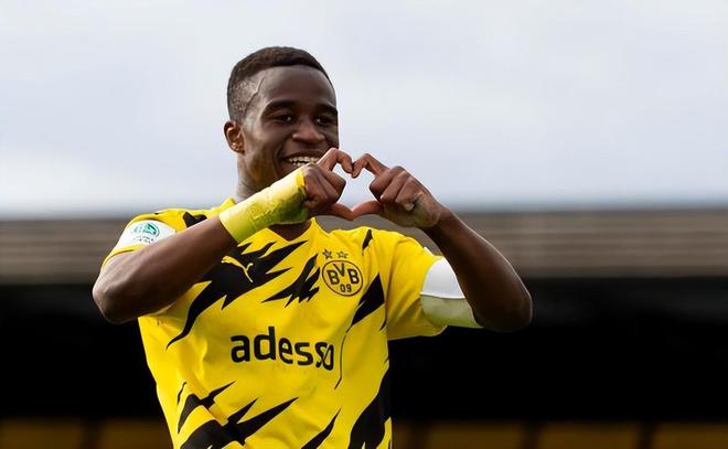 穆科科動態(tài),穆科科動態(tài)，小巷中的獨特風(fēng)味探索之旅